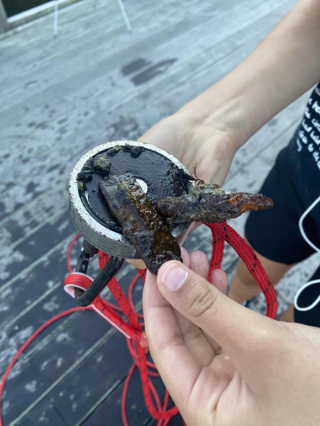 MF Spot: Highbank Bridge/ Wilbur Park (Yarmouth,&nbsp;MA)